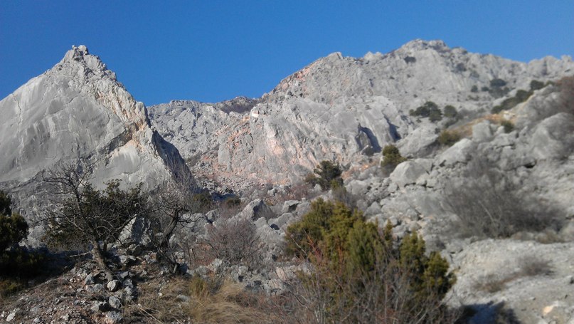 Катя Шереметева ***Grenouille heureuse*** | Nice