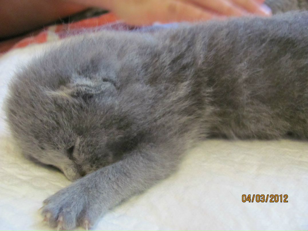 Игорь Илюхин | Калининград