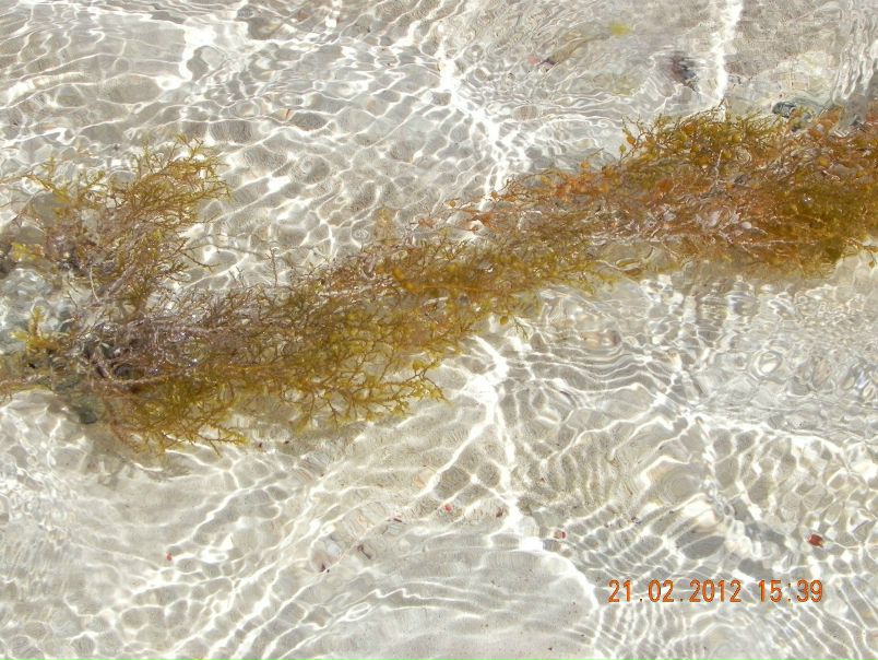 №6, Александр Коновалов, 42 года, Москва №6, Александр Коновалов, 42 года, Москва