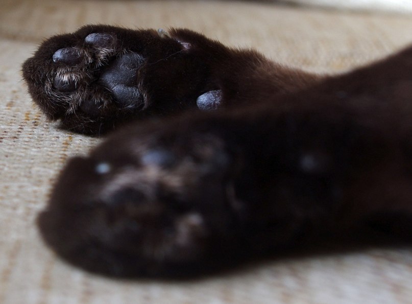 Оксана Шамсутдинова | Уфа