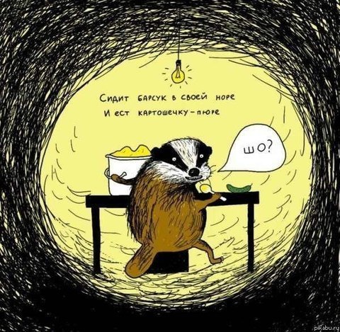 Оля Синица | Киев