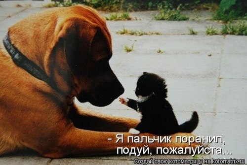 Анжела Ибрагимова | Санкт-Петербург