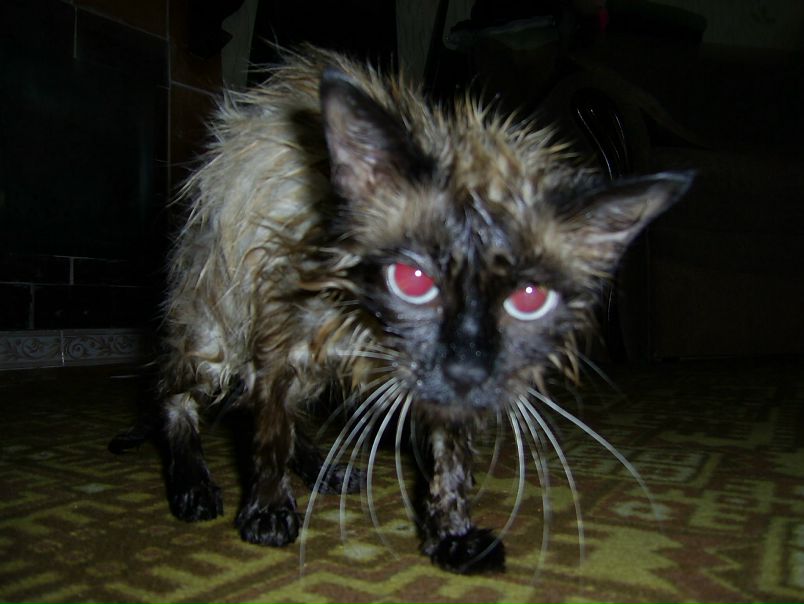 №129, Дмитрий Курников, 44 года, Москва №129, Дмитрий Курников, 44 года, Москва