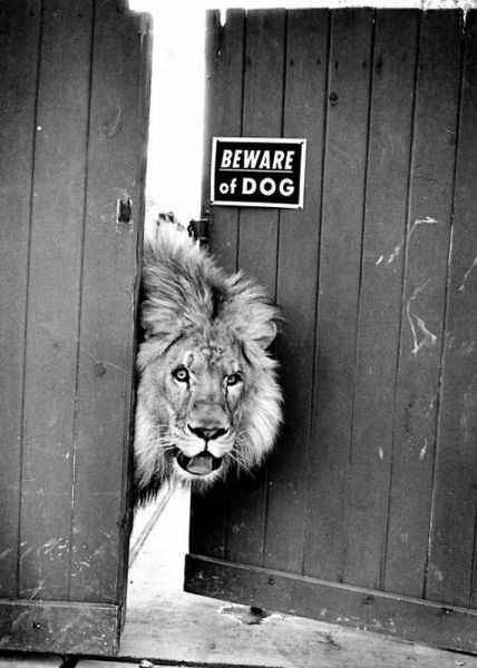 №25, Дмитрий Прокашев №25, Дмитрий Прокашев