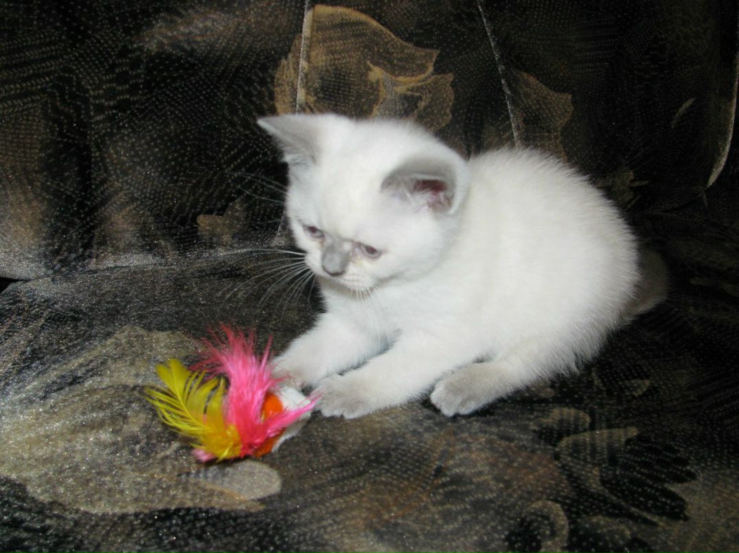 Наташа Кузина | Санкт-Петербург