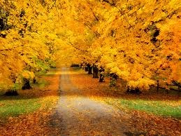 №143, Юлия Письменная, 36 лет, Николаевка №143, Юлия Письменная, 36 лет, Николаевка