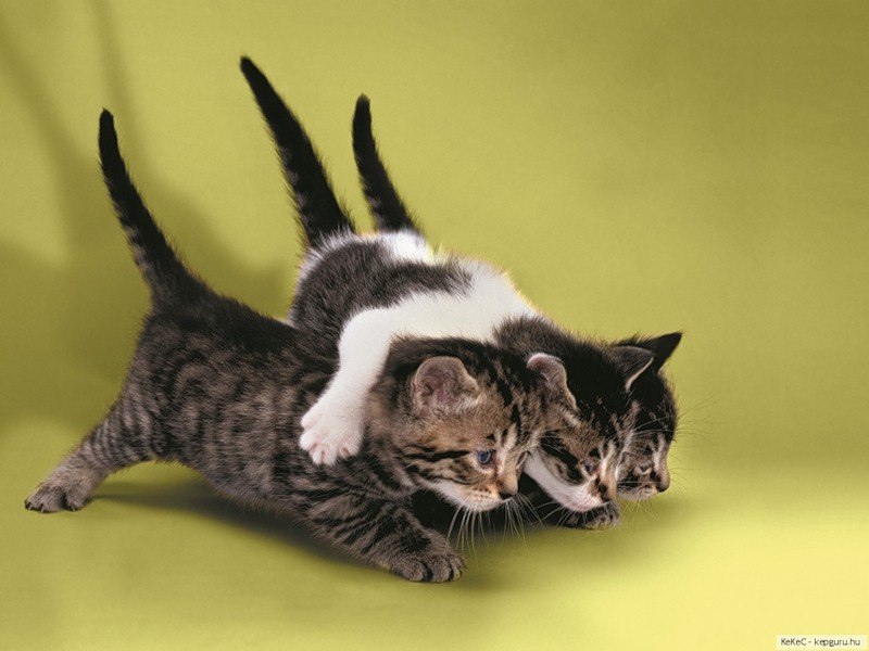 Наталья Ершова | Москва