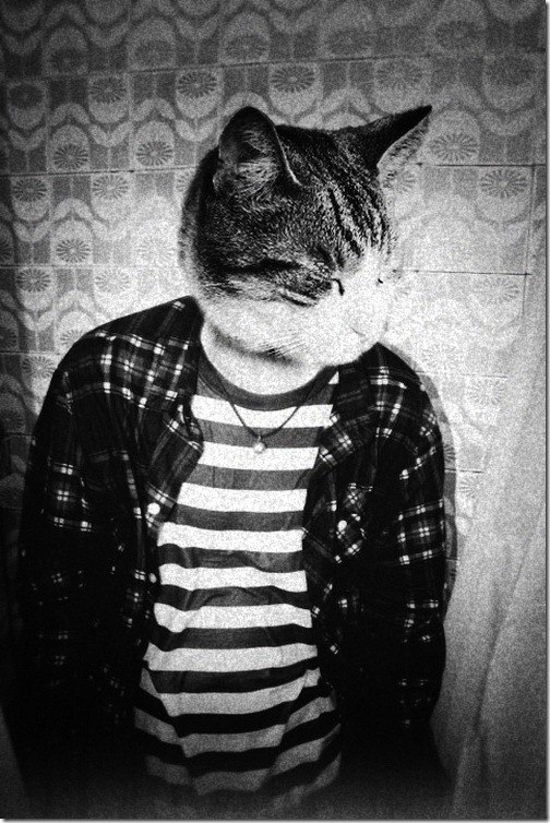 Дмитрий Романов | Запорожье