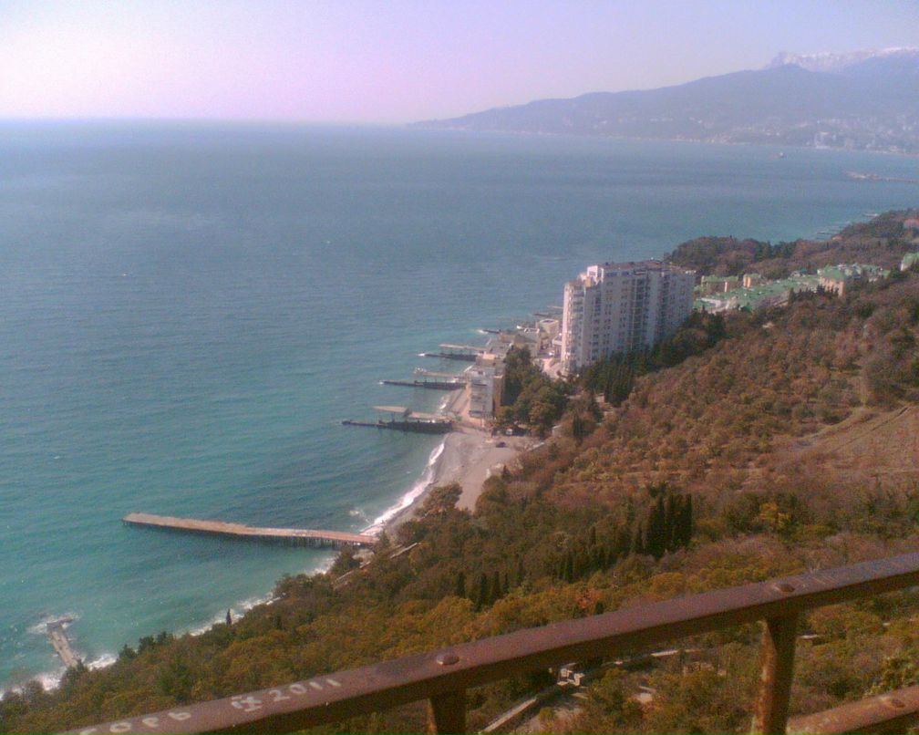 Александр Симов | Chicago