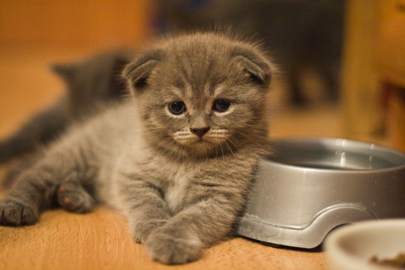 Людочка Булгакова | Харьков