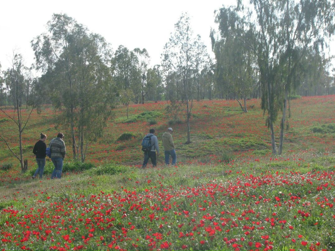 Дина Розенталь | Москва