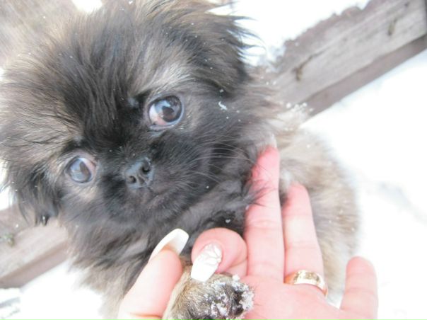 №41, Наталья Вения, 42 года, Мариуполь №41, Наталья Вения, 42 года, Мариуполь