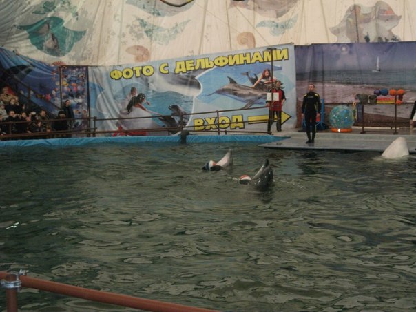 №7, Ольга Савчик №7, Ольга Савчик