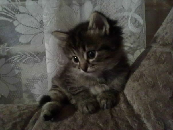 №13, Natalia Danilova №13, Natalia Danilova