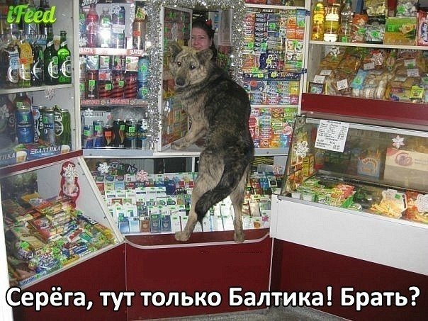 Евгений Алексеев | 
