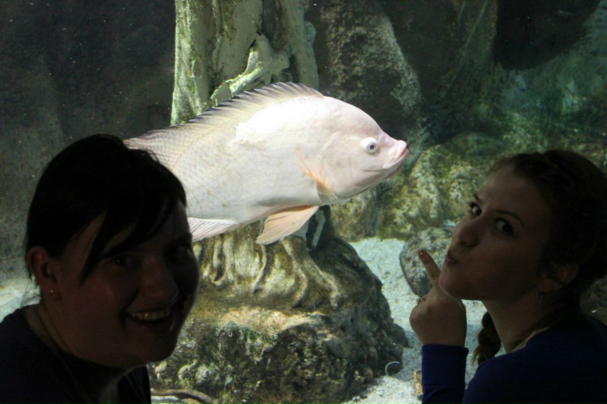 Настька Тихомирова | Freeport District