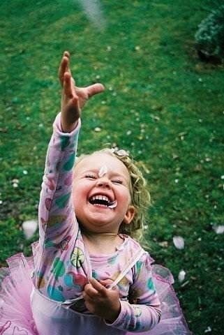 №5, Айша Айша, Стрый №5, Айша Айша, Стрый