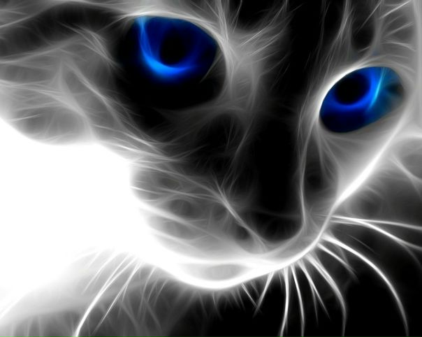 №1, Ирина Мингалеева №1, Ирина Мингалеева