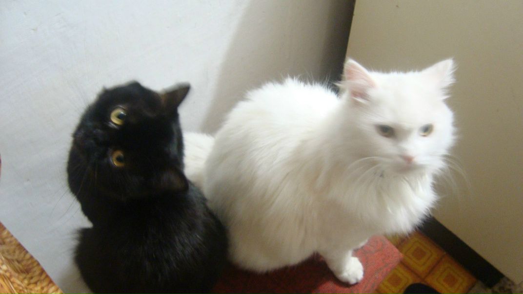 №122, Артем Троицкий, Херсон №122, Артем Троицкий, Херсон