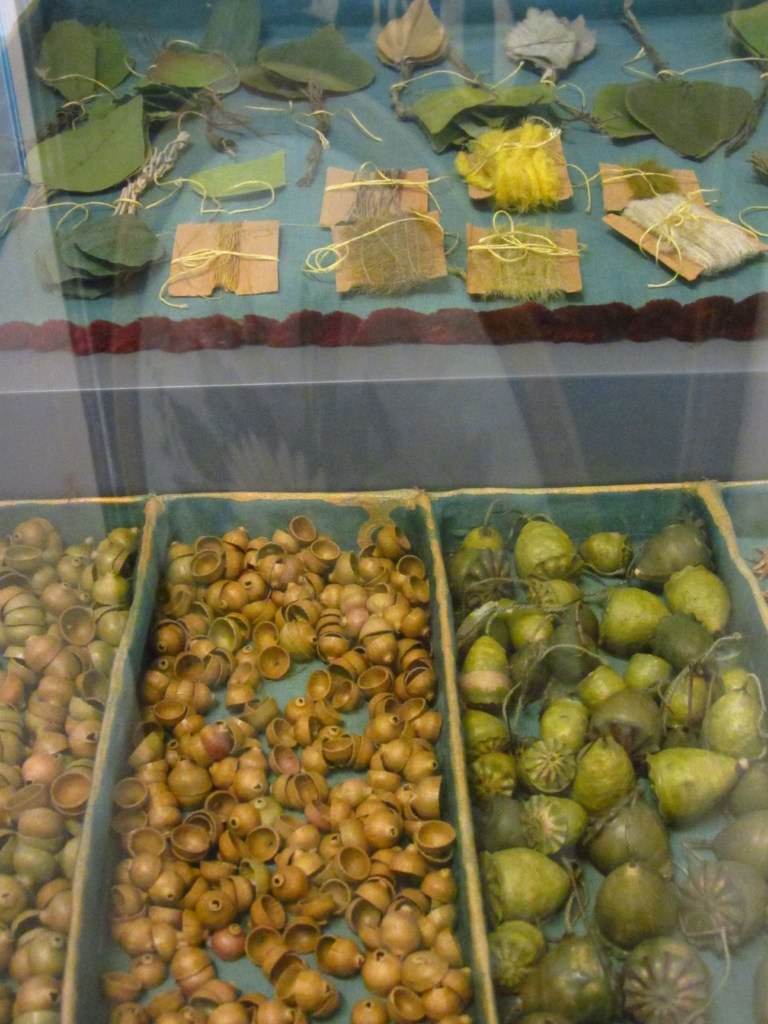 Алёна Лошакова САленый | Санкт-Петербург