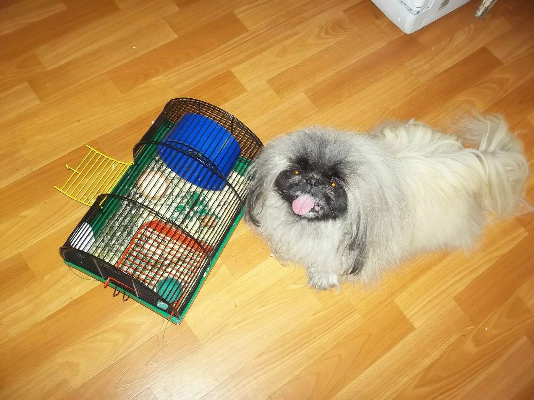 Анна Иванова | Киев