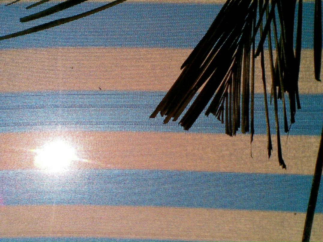 Александра Сашнева | Москва