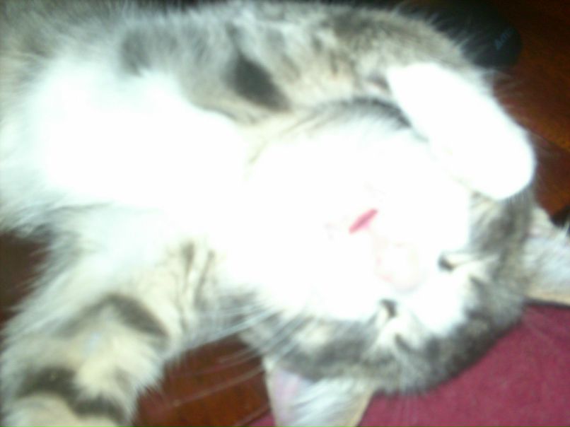 Екатерина Наседкина | Нижний Тагил