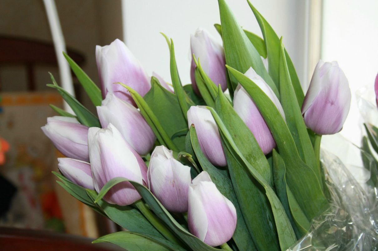 Оля Соколенко molya66 | Чернигов