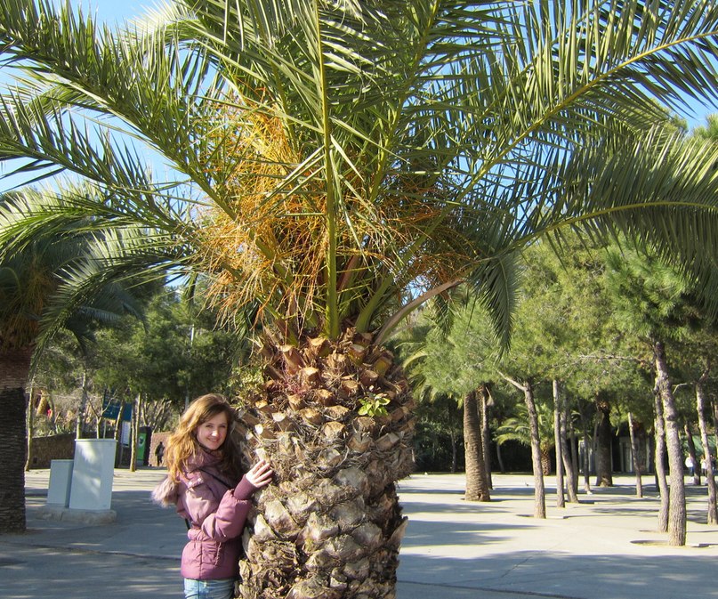 Инна Фладе | 