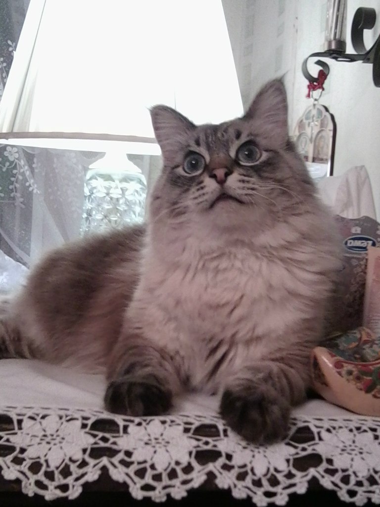 Мария Корлякова | Ижевск