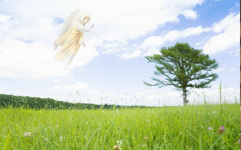 Владимир Артемьев | Москва