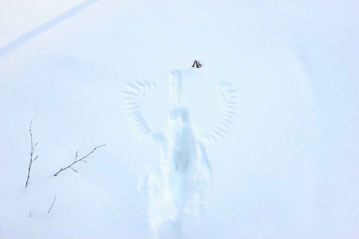 Николай Гладышев Михайлович | Москва