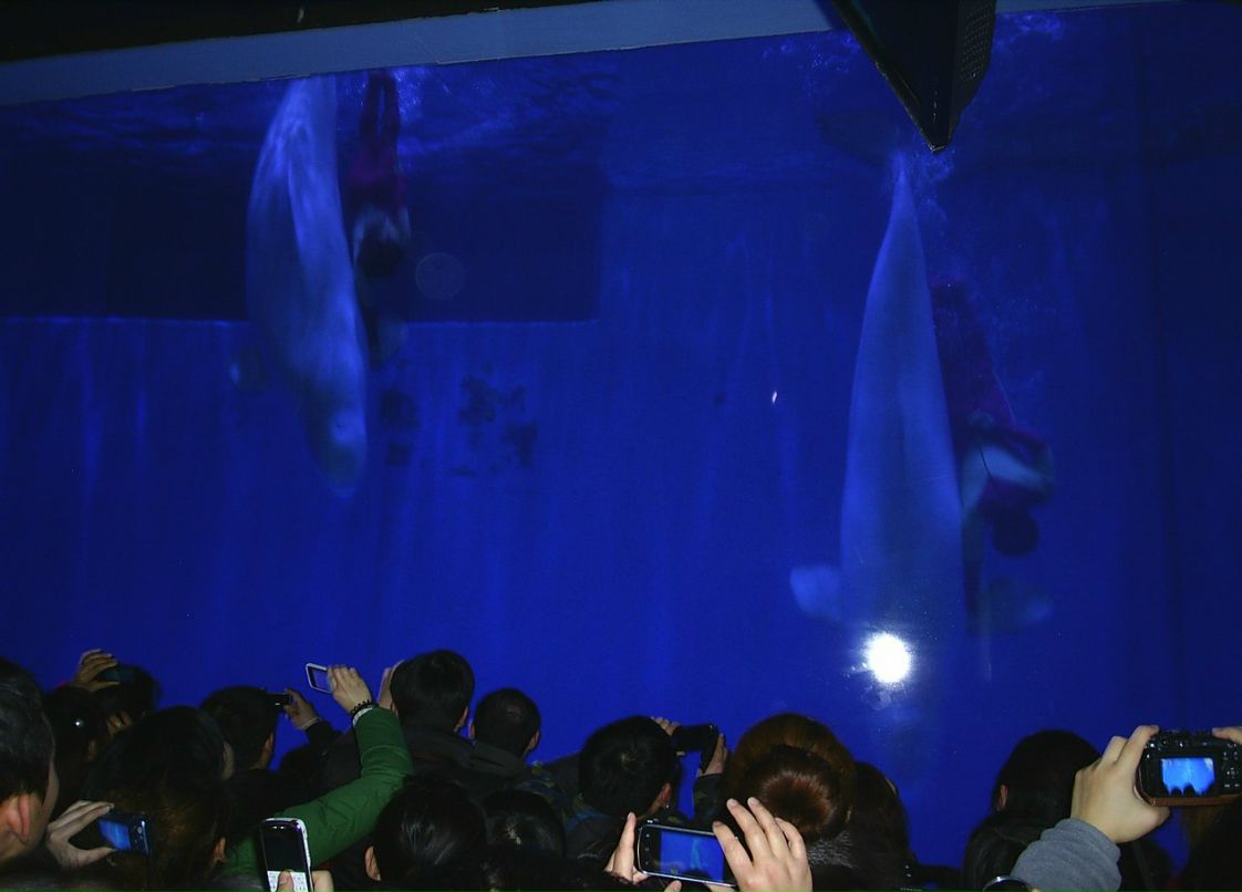 Сергей Пономарев ˙·٠✈ | Новосибирск