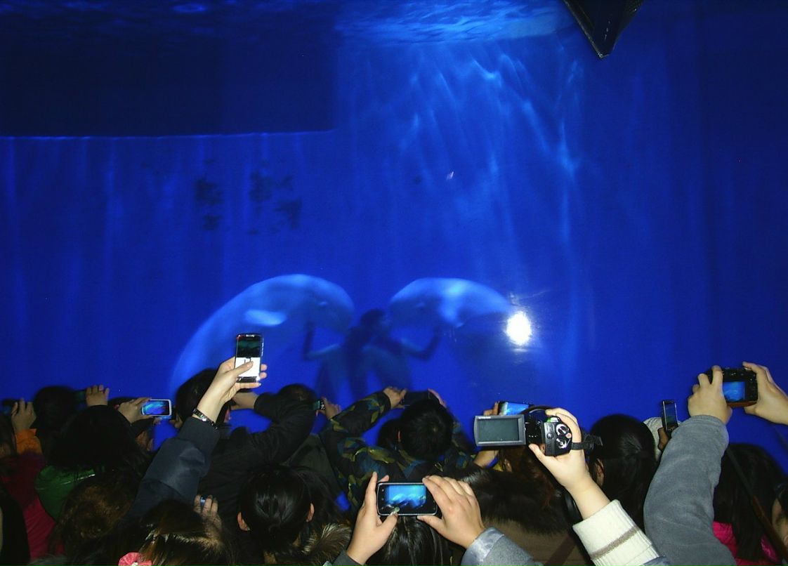 Сергей Пономарев ˙·٠✈ | Новосибирск