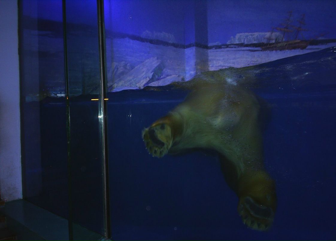 Сергей Пономарев ˙·٠✈ | Новосибирск