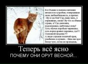 №19 Даниил Масалкин 04.05.1983: профиль, фото, статус - ВКонтакте