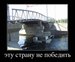 Вадим Трофимов фотография #41