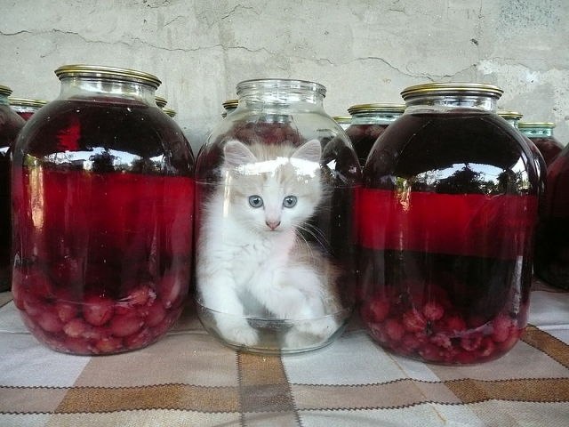 Алексей Борисов | 