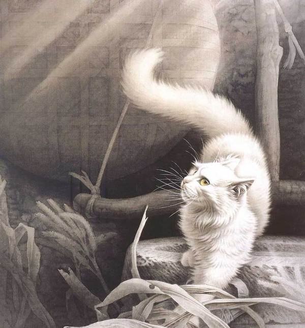 Светланка Свинцова | Санкт-Петербург