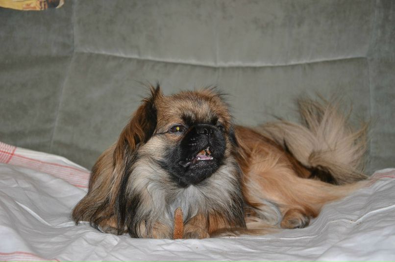 Николай Никонов _Юрич_ | Тюмень