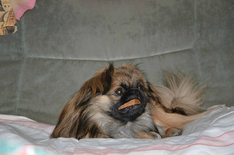 Николай Никонов _Юрич_ | Тюмень