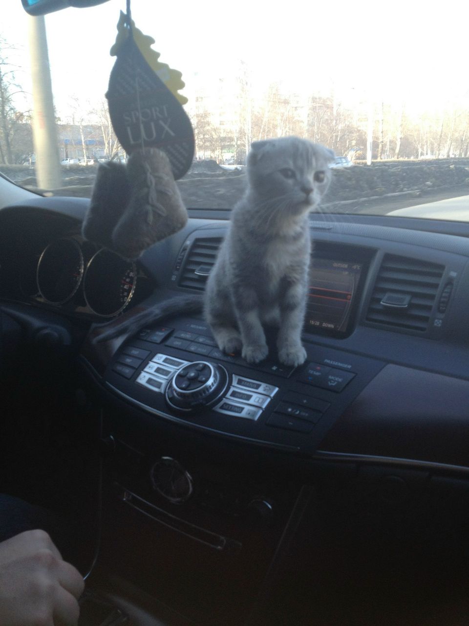 Анна Мудрик | Барнаул