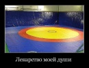 Фотография Aleksey Rastremin