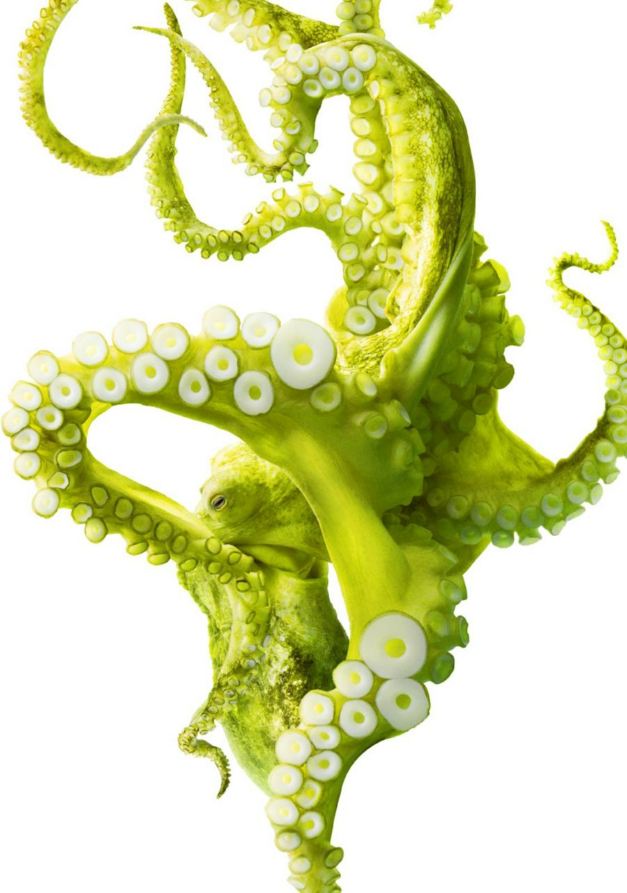 Павел Сикорский ( ✖ _ ✖ ) | Москва