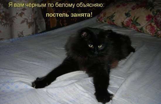 Оля Цимбалюк | Киев