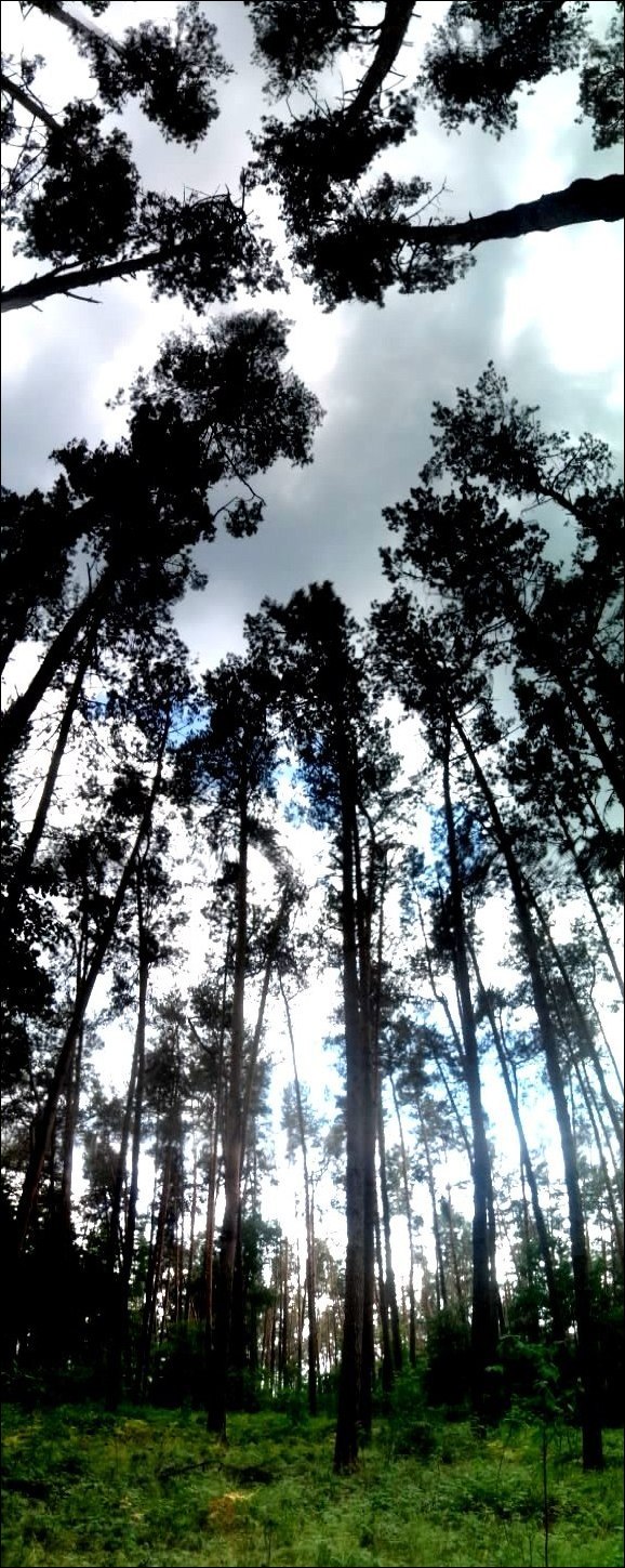 Михаил Попов | Киев