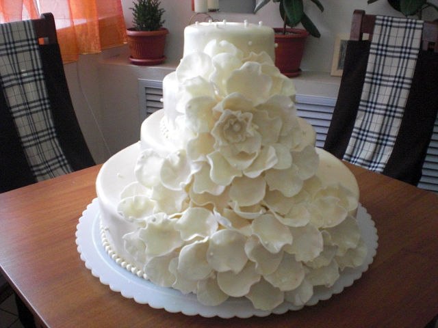 Ольга Щаслива | 