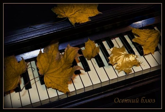 №3, Вікторія Ткачук №3, Вікторія Ткачук