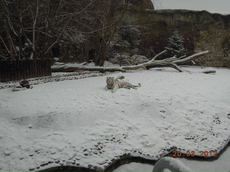 Елена Прекрасная | Москва