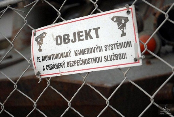 Дмитрий Сальников | Санкт-Петербург